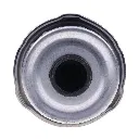 32925915-3.webp